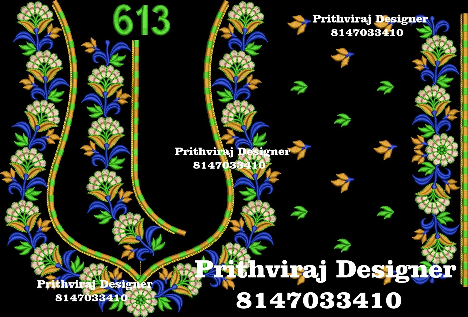 B613 Image