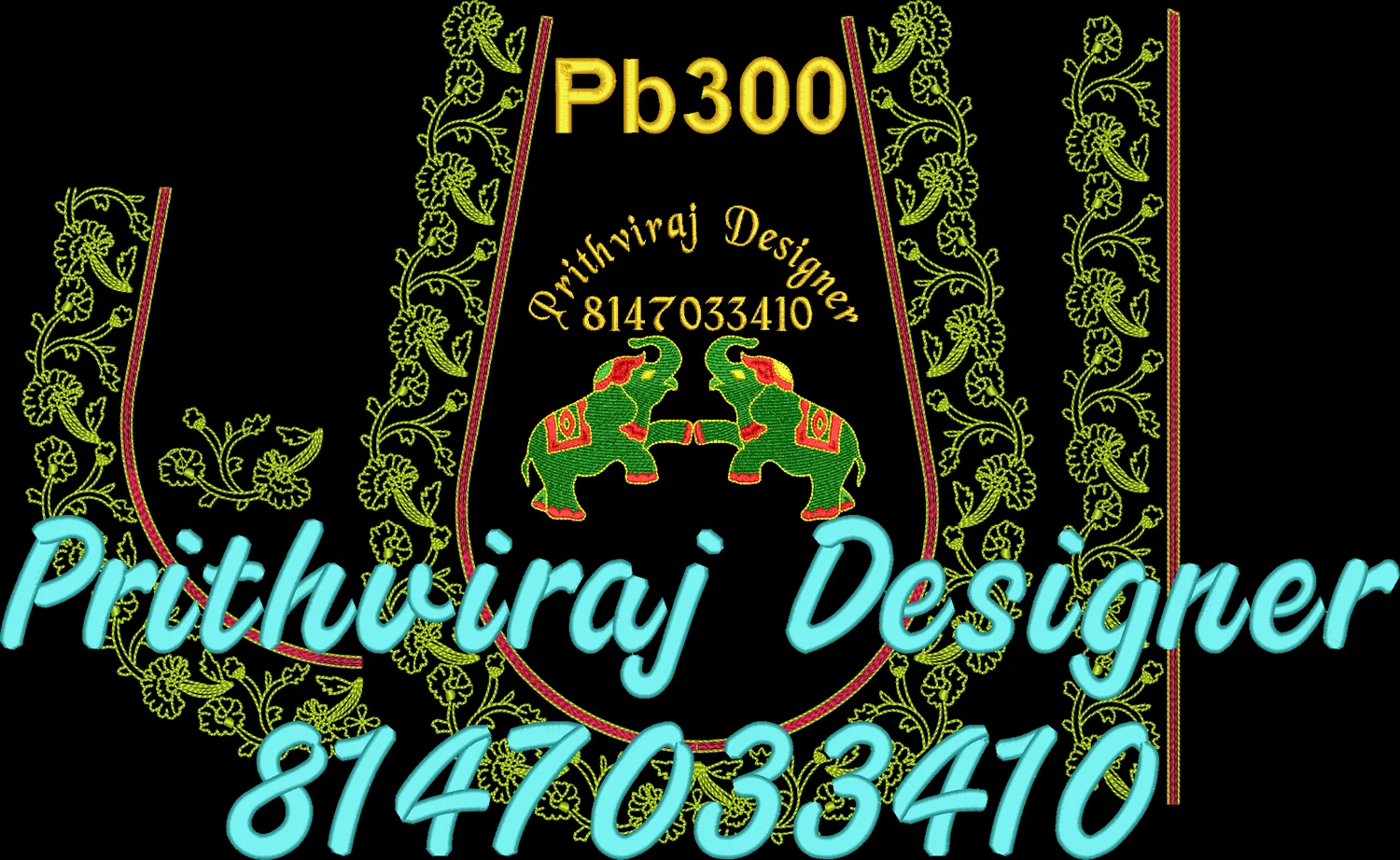 Pb300 Image