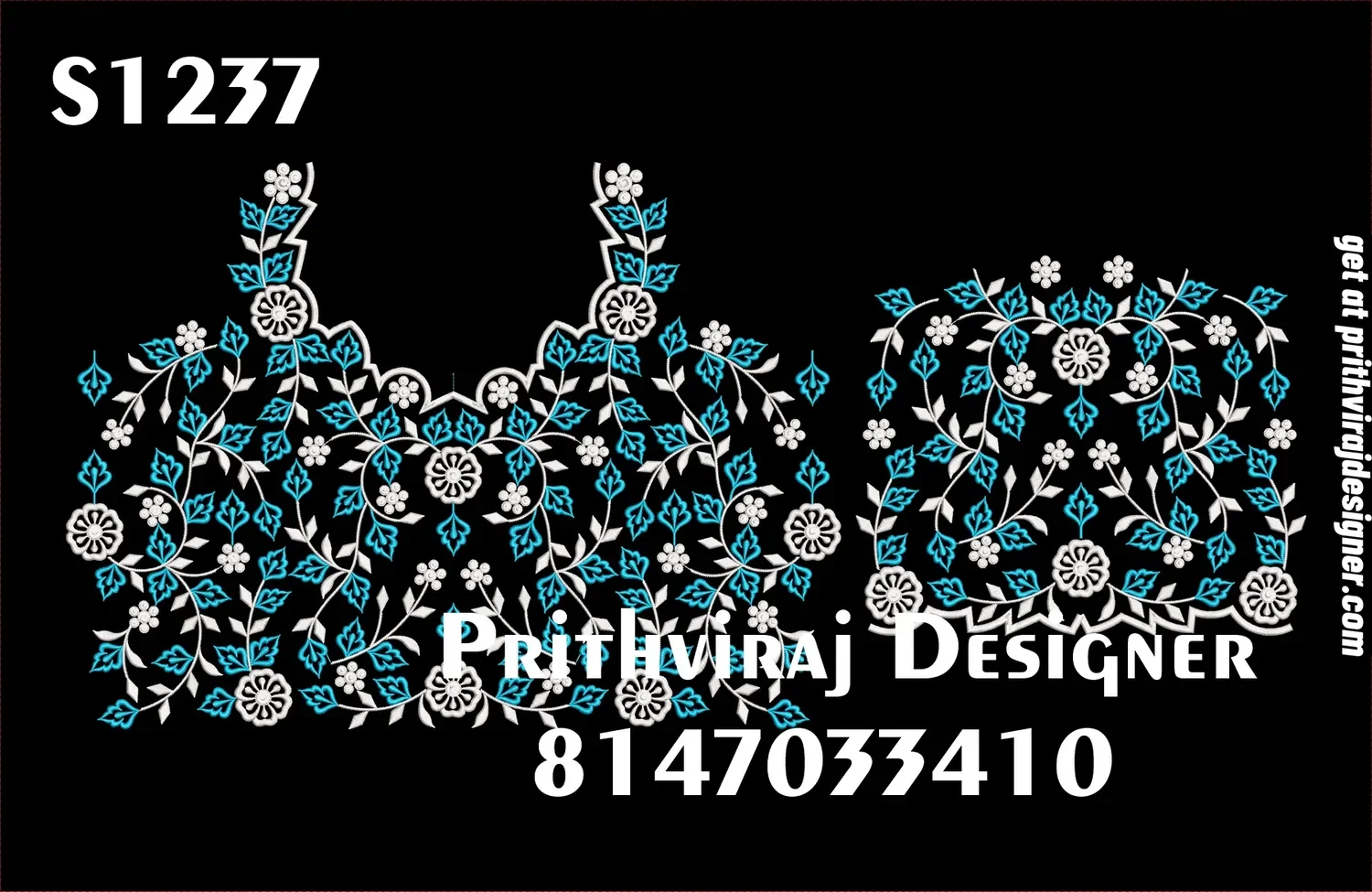 S1237 Image