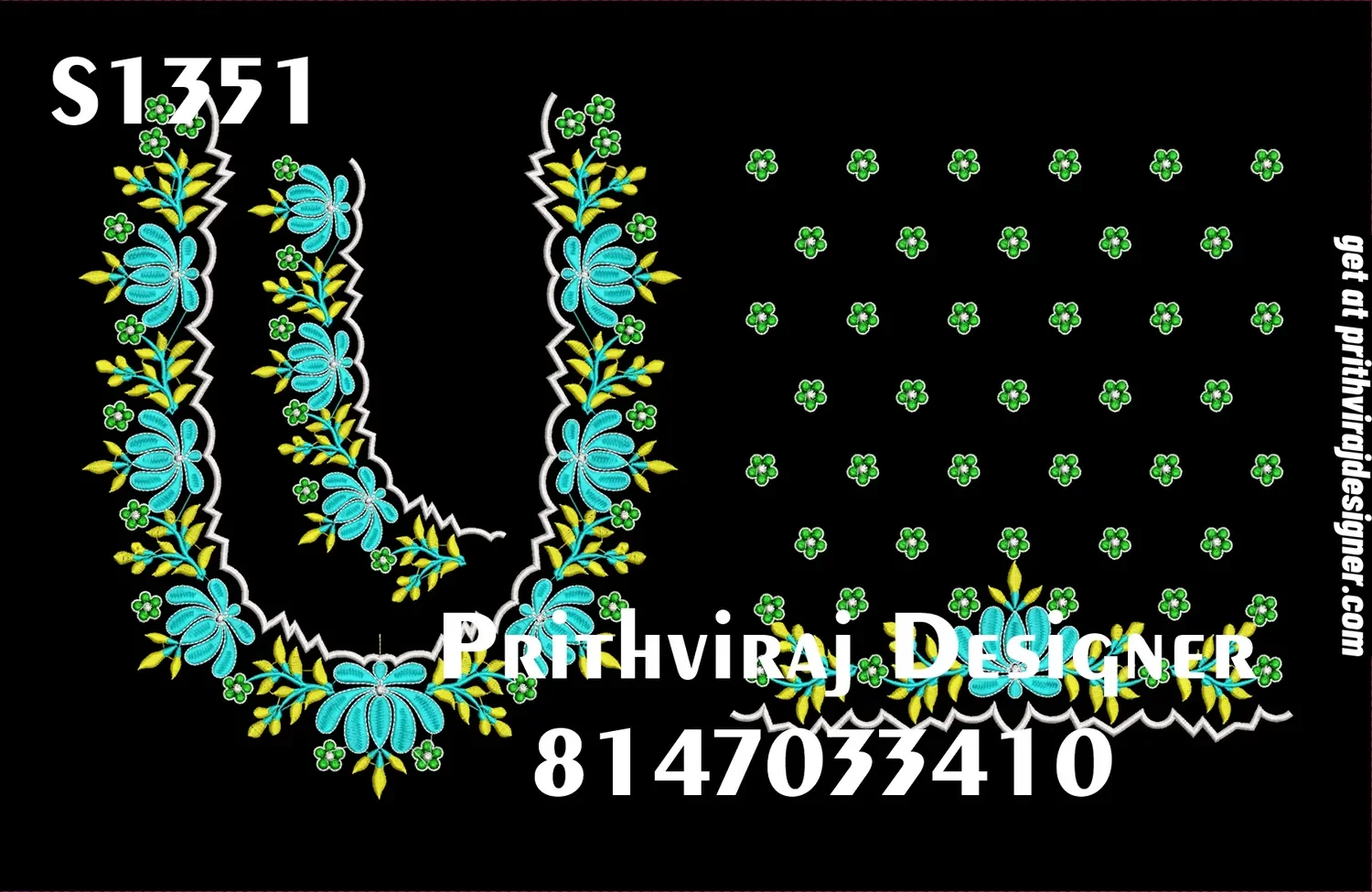 S1351 Image