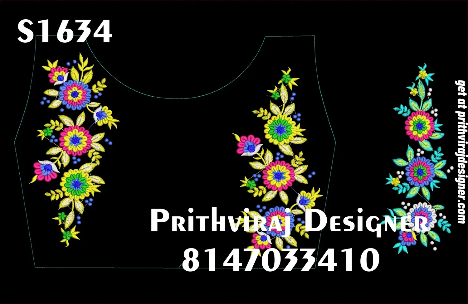 S1634 Image