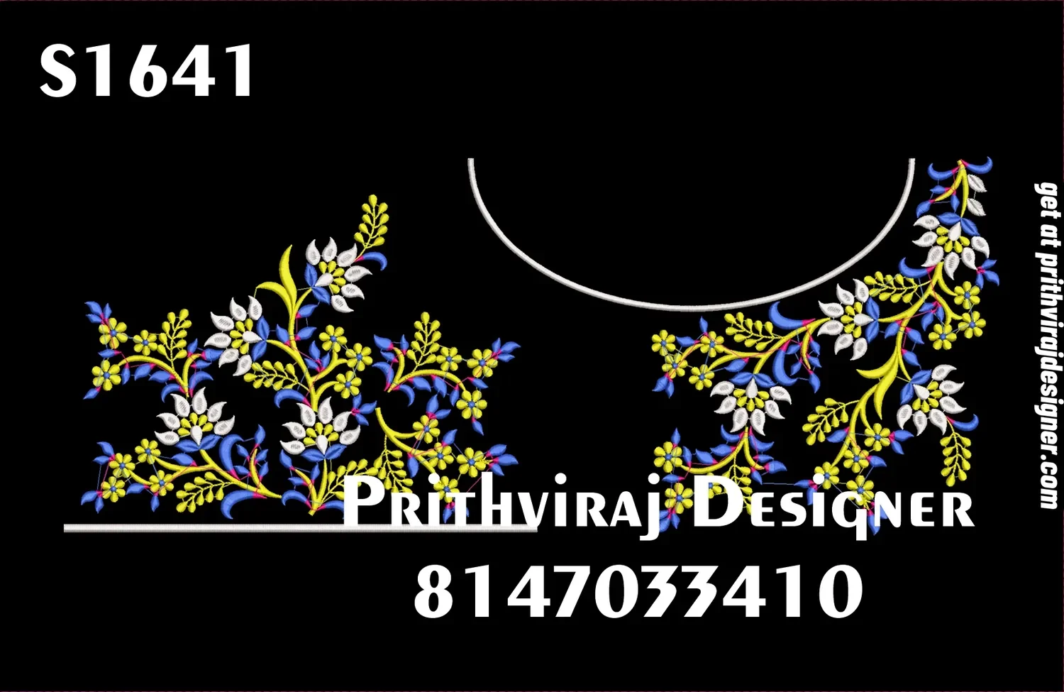 S1641 Image