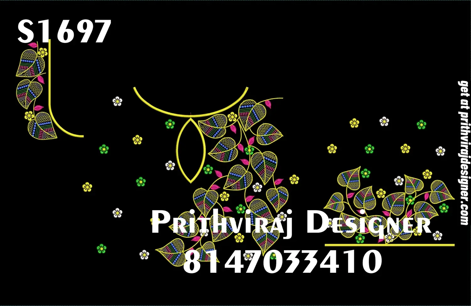 S1697 Image