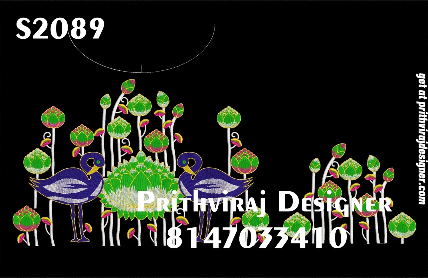 S2089 Image